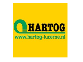 Hartog