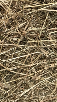 Kleine ronde baal VOORDROOG +- 130 kg
