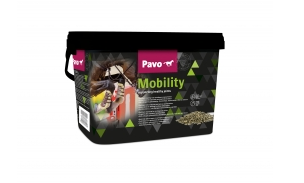 Pavo Mobility 