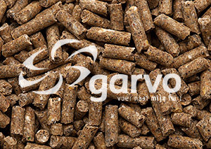 Garvo-Scharrel legkorrel 5030