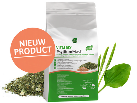 Vitalbix PsylliumMash