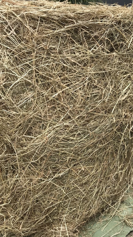 Kleine ronde baal VOORDROOG +- 130 kg