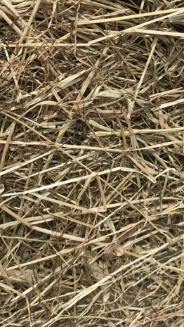 Kleine ronde baal VOORDROOG +- 130 kg