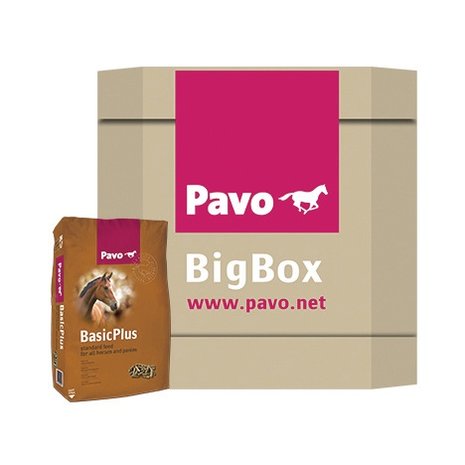 Pavo Basic Plus Big Box 725 kg