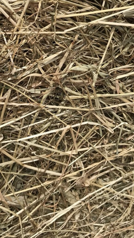 Kleine ronde baal VOORDROOG +- 130 kg 