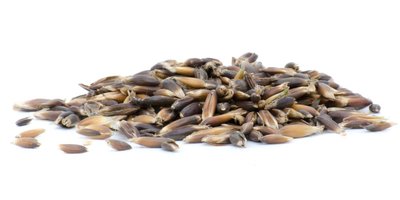 Horsefood zwarte gekneusde haver 20 kg