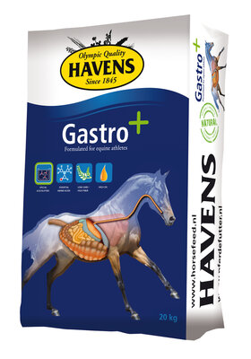 Havens Gastro+ 20KG