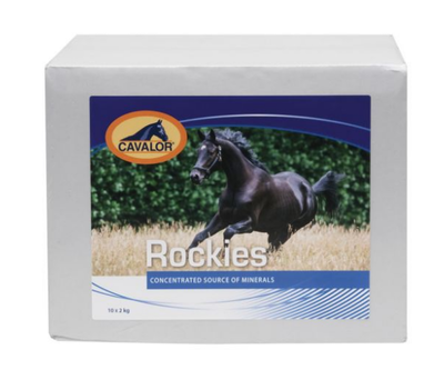 Cavalor rockie zoutsteen 2 kg